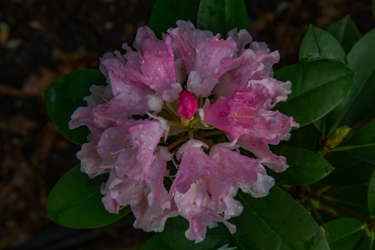 Stacks Image 4485098