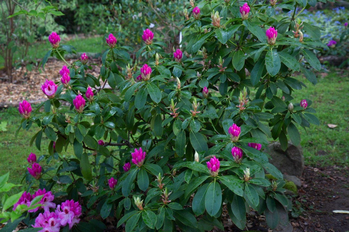 Stacks Image 4485116