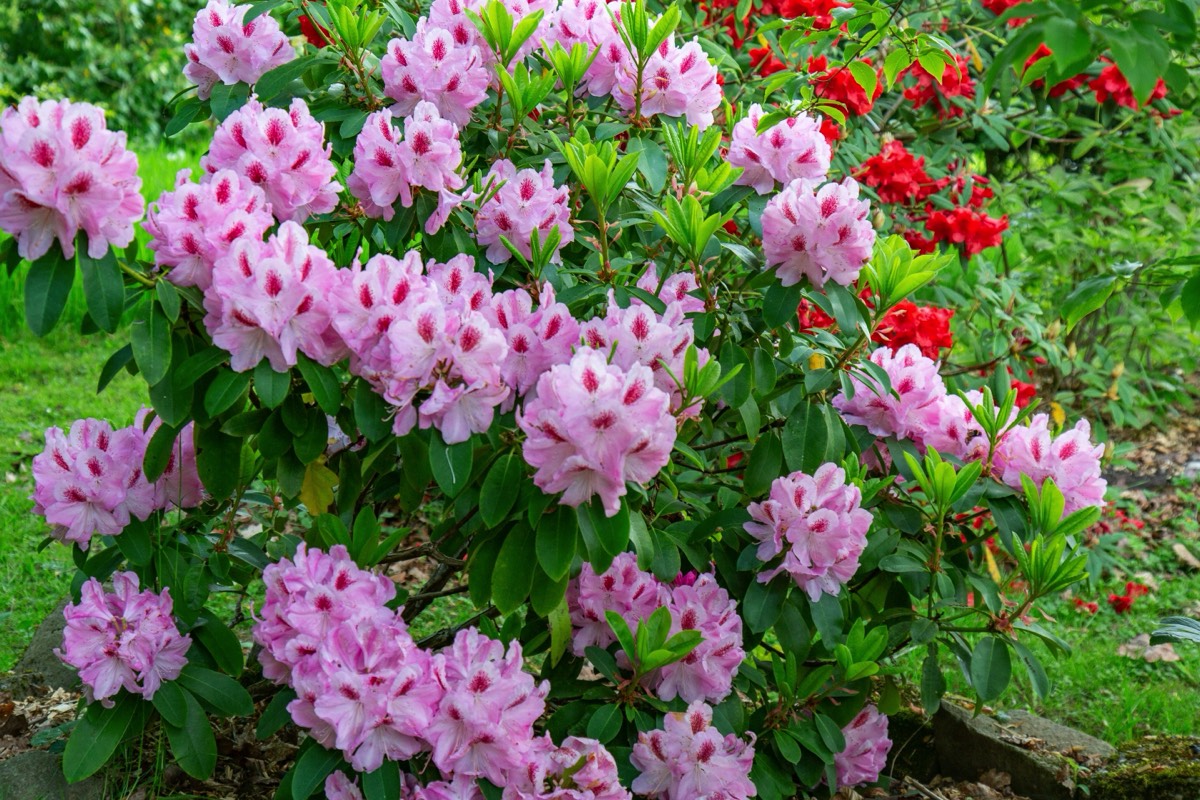 Stacks Image 4485104